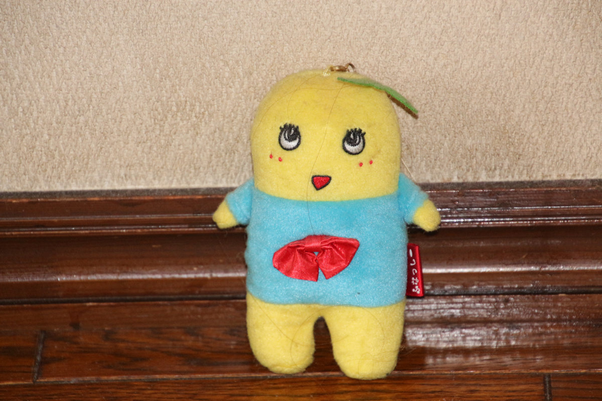ふなっしー　いろいろ IMG_7369.JPG
